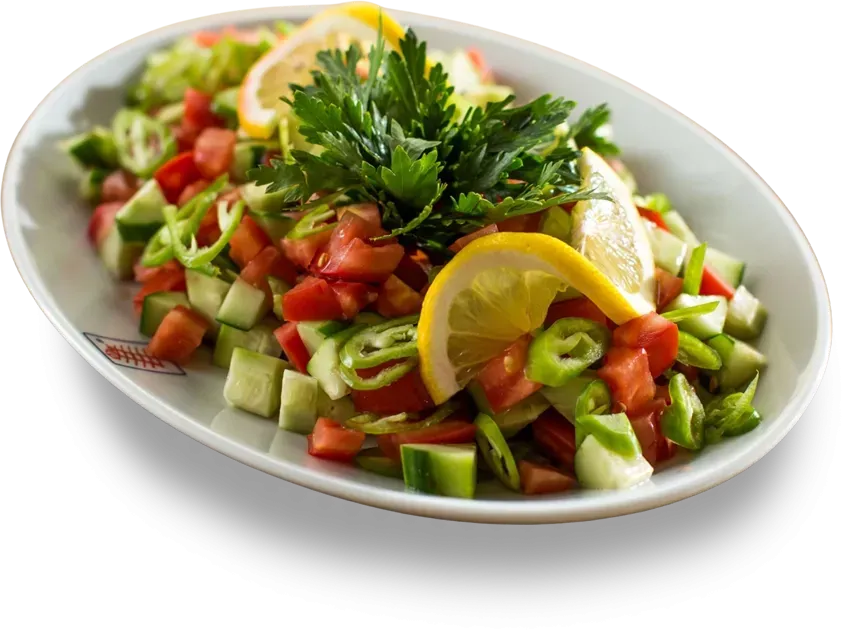 Çoban Salata - DEMO-1